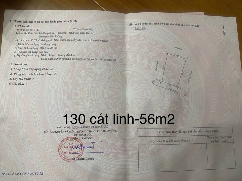 Đất nền 130 Cát Linh, Tràng Cát 56m² giá 1.45 tỷ - Vị trí đắc địa gần chợ và trường học!