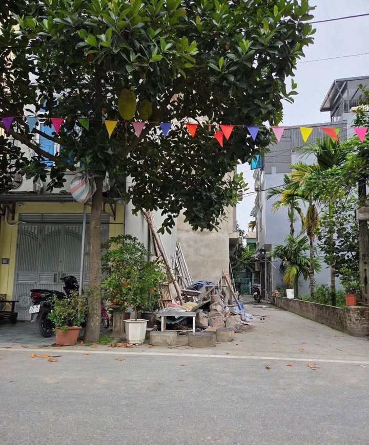 Đất nền KDT Hinode, Hoài Đức 30m² giá thỏa thuận - Đầu tư sinh lời hấp dẫn!