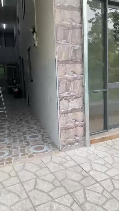 Căn hộ cho thuê mặt tiền đường Trần Quang Khải, 15B - Tiện nghi đầy đủ, giá thỏa thuận!