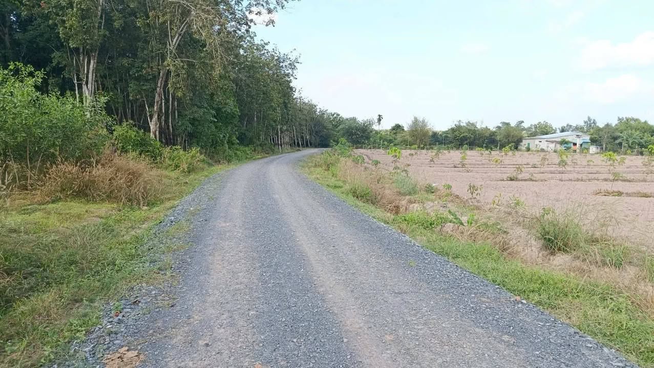 Đất thổ cư 65m² Phước Thạnh Gò Dầu giá 490 triệu - Đường thông thoáng, dân cư đông đúc!