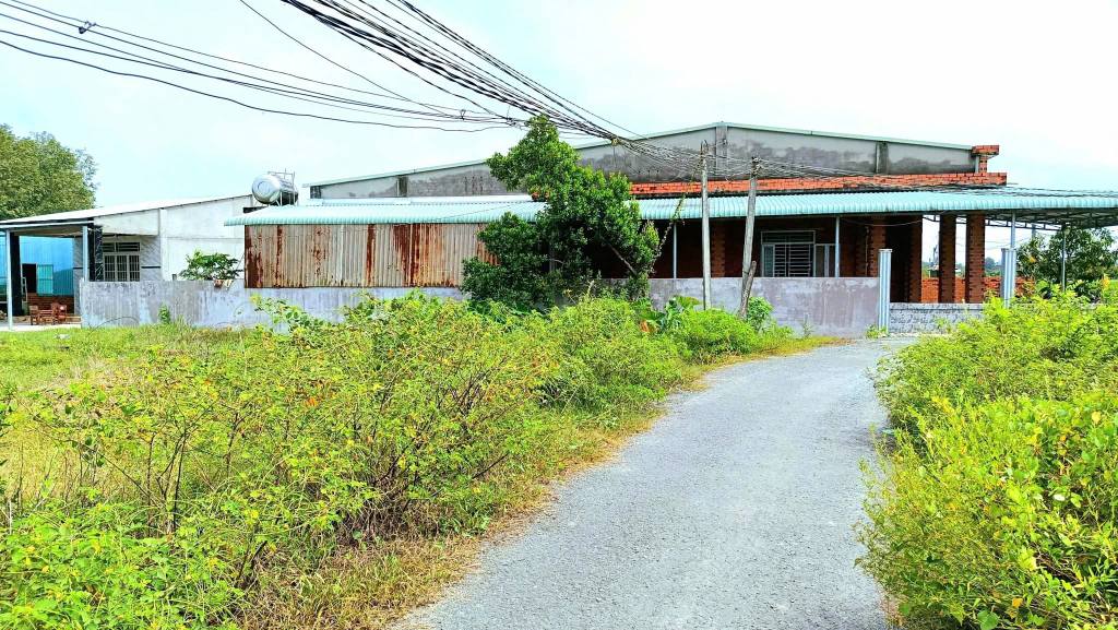 Đất thổ cư 75m² tại Thanh Phước, Gò Dầu - Giá chỉ 530 triệu - Đường nhựa thông thoáng!