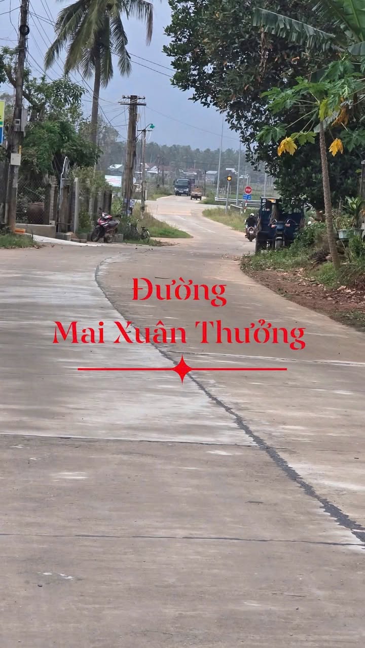 Đất nền mặt đường Mai Xuân Thưởng, Bình Định 150m² giá chỉ 900 triệu - Cơ hội đầu tư sinh lời!