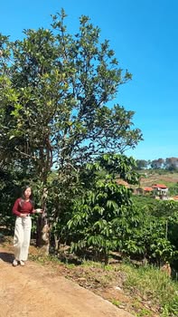 Đất nền 600m² mặt tiền 17m tại Nam Ban - Chỉ 800 triệu!