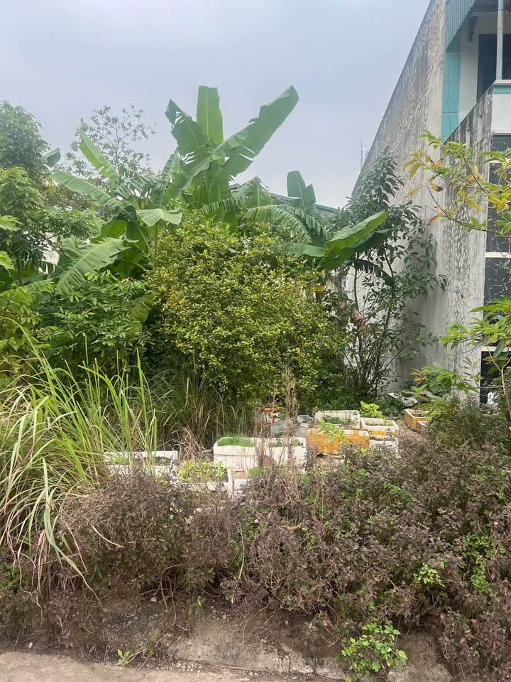 Lô đất đẹp Quảng Thịnh 90m² giá 2 tỷ - Đầu tư sinh lời ngay!