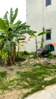 Lô đất đẹp tại Quảng Định 90m² giá 1 tỷ - Đầu tư sinh lời ngay!