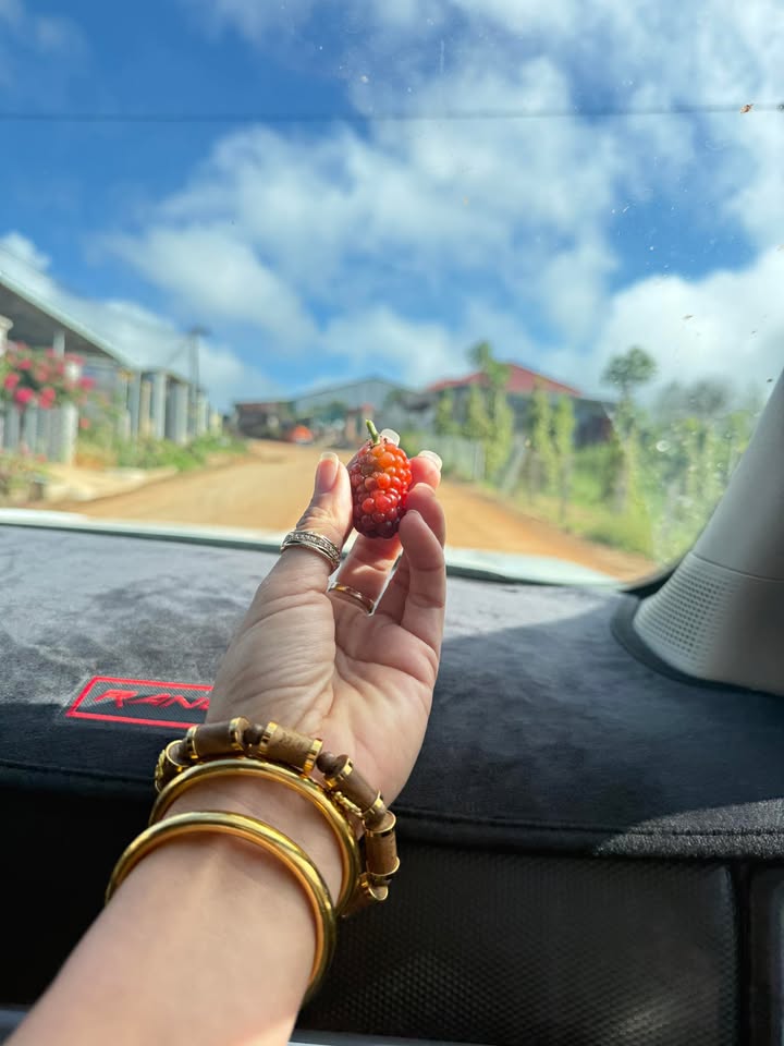 Đất nông nghiệp tại Đăk Song 500m² giá 1.2 tỷ - Sẵn sàng ở ngay!