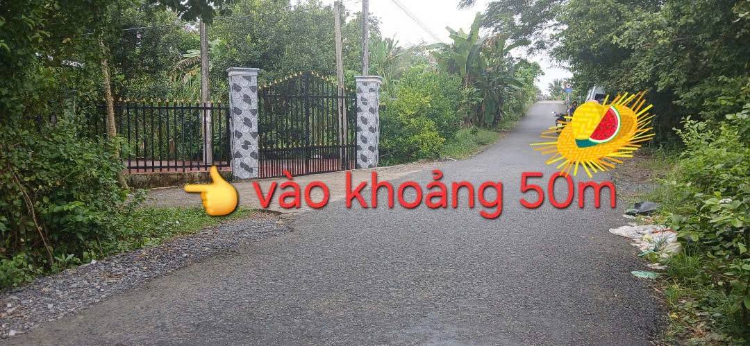 Đất nền liền kề Ngãi Tứ, Tam Bình 300m² giá chỉ 200 triệu - Cơ hội đầu tư hấp dẫn!