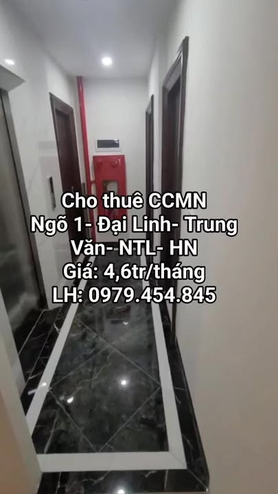 Cho thuê CCMN Ngõ 1 Đại Linh 30m² giá 4,6 triệu - Nhà mới full nội thất