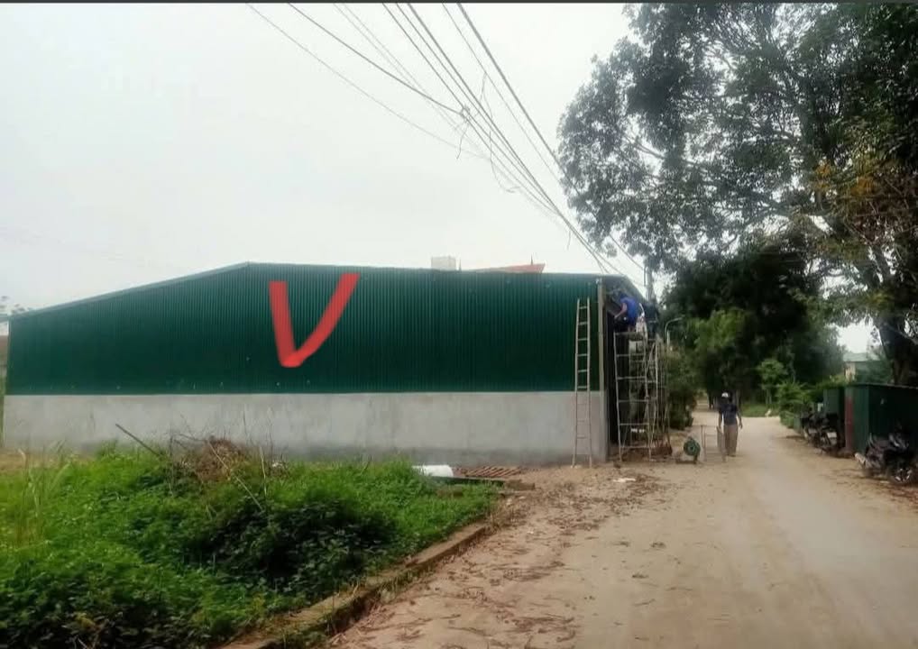 Phòng cho thuê tại Quang Minh, Mê Linh, 100m² - Thích hợp ở hoặc làm kho xưởng!