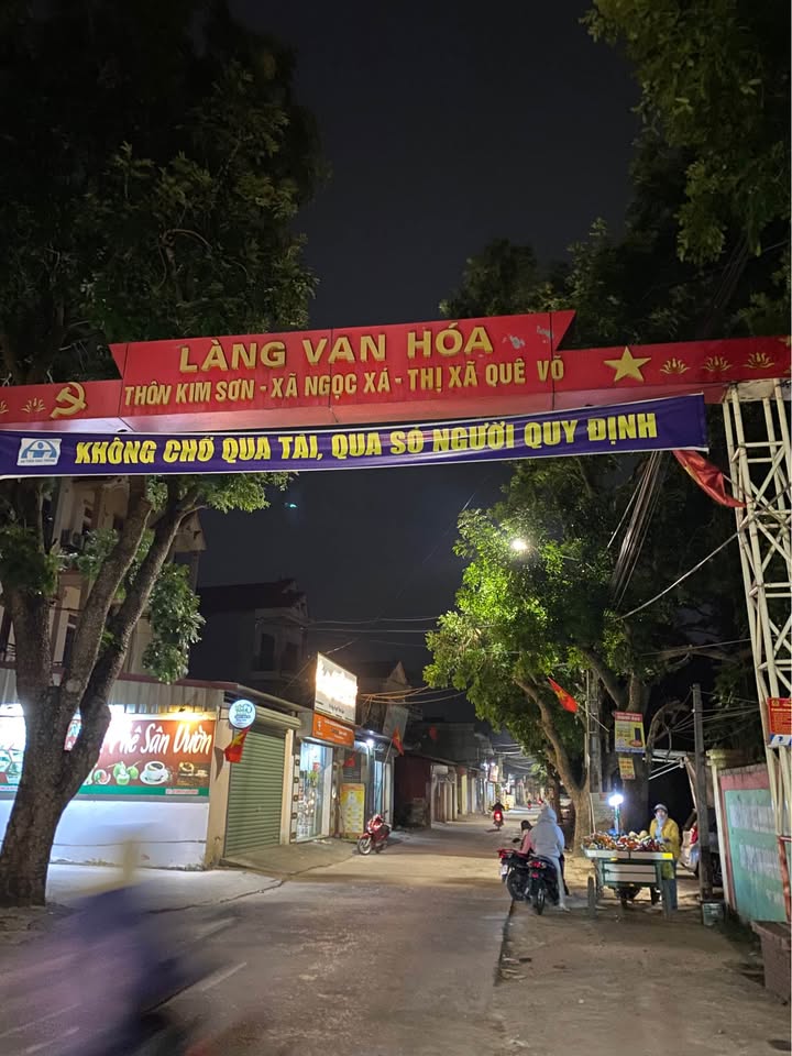 Đất nền xã Ngọc Xá, huyện Quế Võ 110m² giá 1 tỷ - Đầu tư sinh lời ngay!