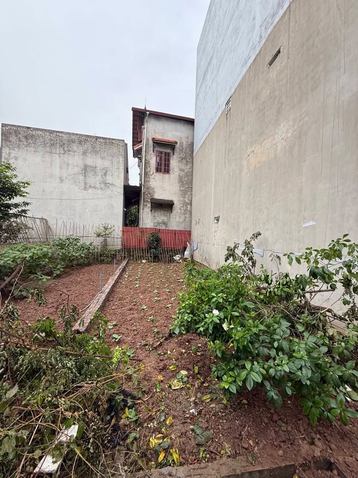 Đất nền Xuân Khôi, Cự Khối 50m² giá 6.5 tỷ - Đường ô tô vào tận nơi!