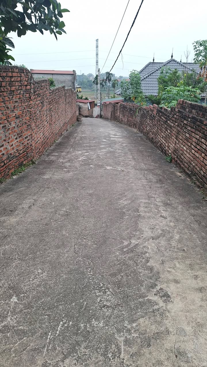 Đất thổ cư Tân Dĩnh 918m² giá chỉ 3xx triệu - Tiềm năng làm kho xưởng và nhà vườn!