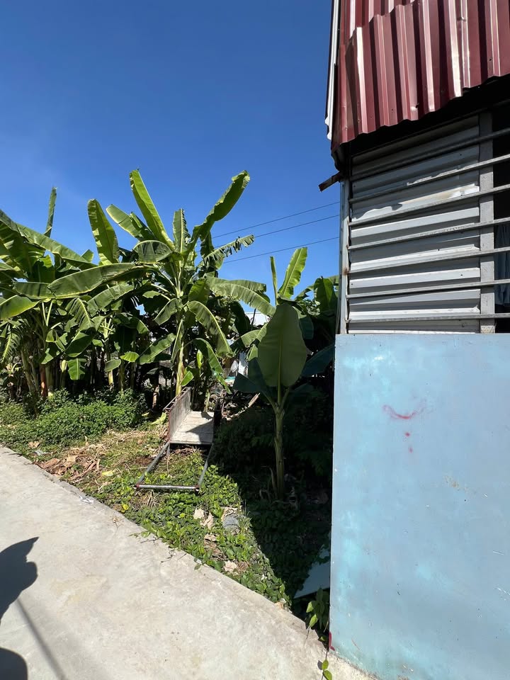 Đất nền An Hưng Hải Dương 57.75m² giá chỉ 799 triệu - Cơ hội đầu tư hấp dẫn!