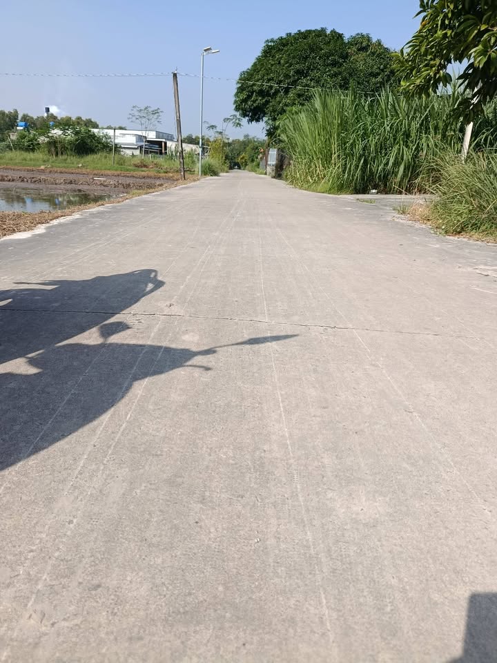 Đất thổ cư 300m² giá chỉ 1.58 tỷ tại Mỹ Hạnh Nam - Cơ hội đầu tư hấp dẫn!