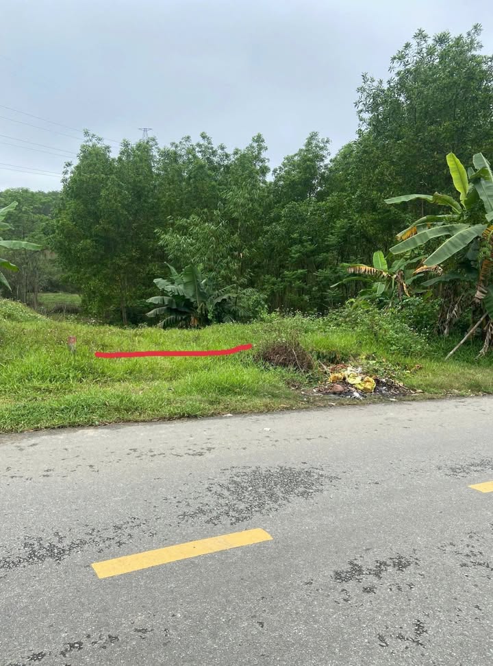 Đất mặt tiền Phùng Quán, Thủy Dương 181m² giá 1 tỷ - Cơ hội đầu tư tuyệt vời!