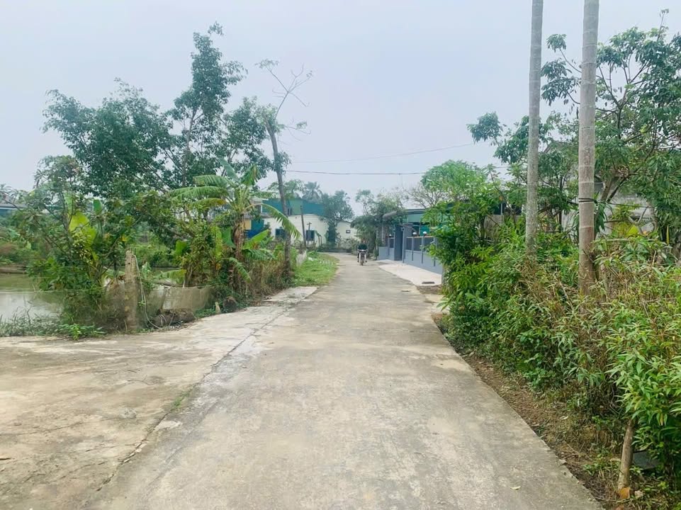 Đất thổ cư Thôn Văn Minh, Tân Lâm Hương 120m² giá 1 tỷ - Cơ hội đầu tư tuyệt vời!