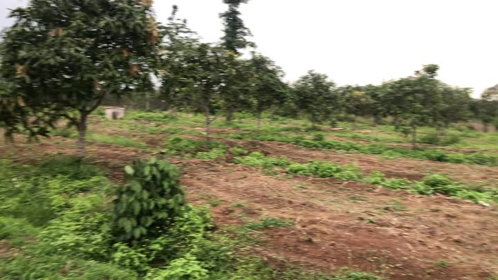 Đất nền 692m² Sông Ray, Cẩm Mỹ, giá chỉ 1.5 tỷ - Cơ hội đầu tư tuyệt vời!