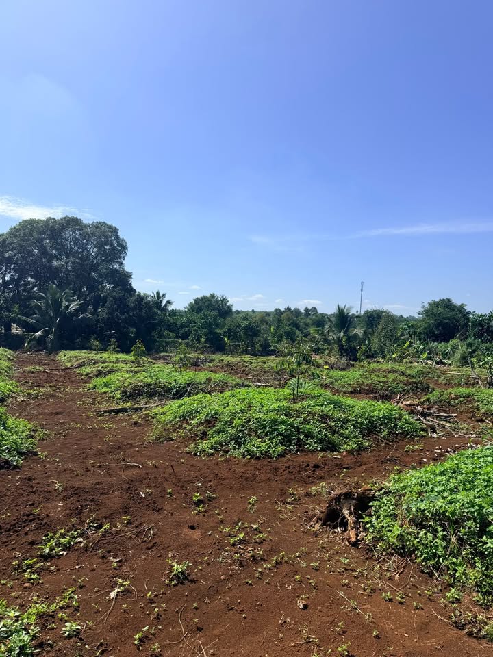 Đất nền Bảo Bình Cẩm Mỹ 4577m² giá chỉ 6.175 tỷ - Đầu tư sinh lời ngay!