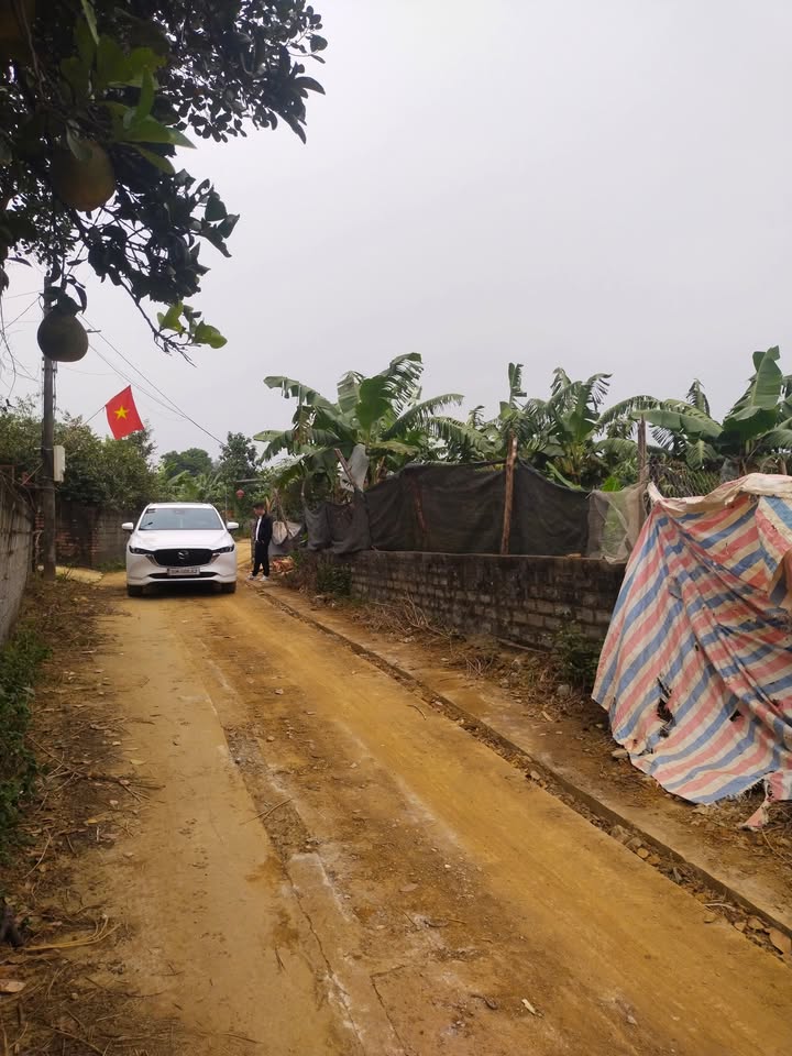 Đất nền Đông Yên, Quốc Oai 600m² giá thỏa thuận - Đường thông ô tô chạy vòng quanh!