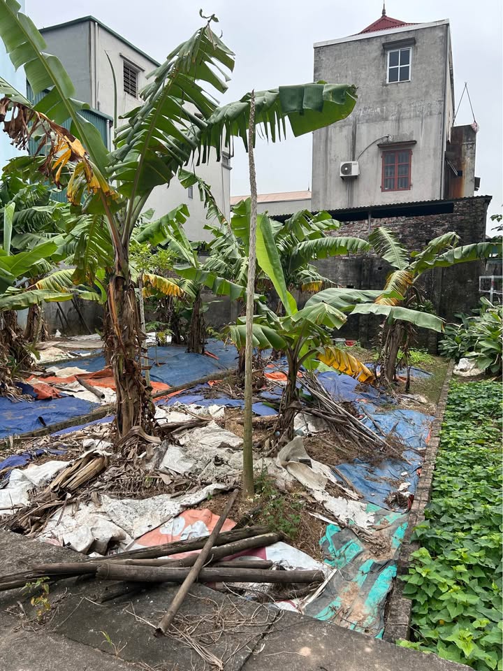 Đất Dương Hà Gia Lâm 50m² giá 4 tỷ - Đường rộng, ô tô đỗ cửa!