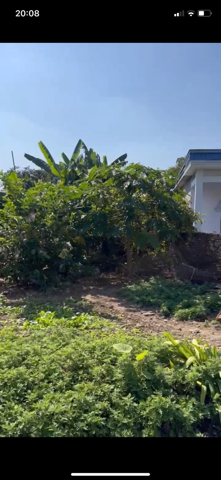 Đất nền 74.5m² tại Dụ Nghĩa, Lê Thiện - Giá 800 triệu, vị trí đẹp, tiện ích đầy đủ!