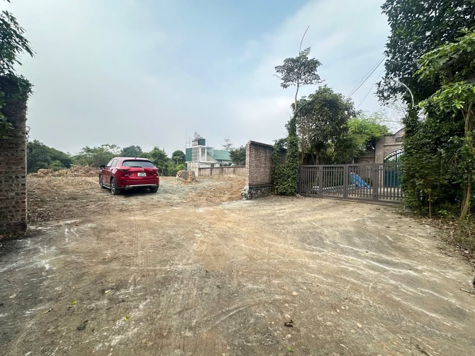 Đất nghỉ dưỡng Tân Hòa, Hòa Bình 1541m² - Đầu tư sinh lời hấp dẫn!