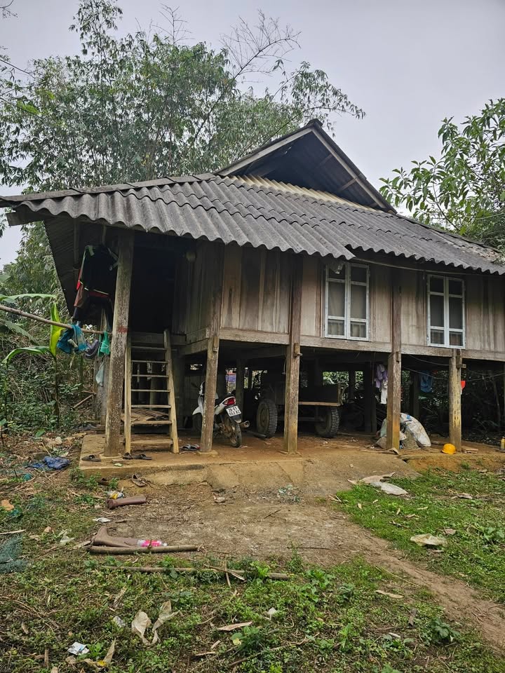 Đất nền Phú Vinh Tân Lạc 2500m² giá 1.6 tỷ - Cơ hội đầu tư tuyệt vời!