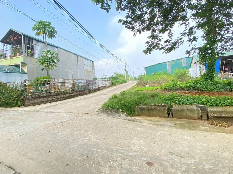 Đất đẹp Khu 3 Vân Phú - Việt Trì, 80m² chỉ 2 tỷ - Cơ hội đầu tư tuyệt vời!