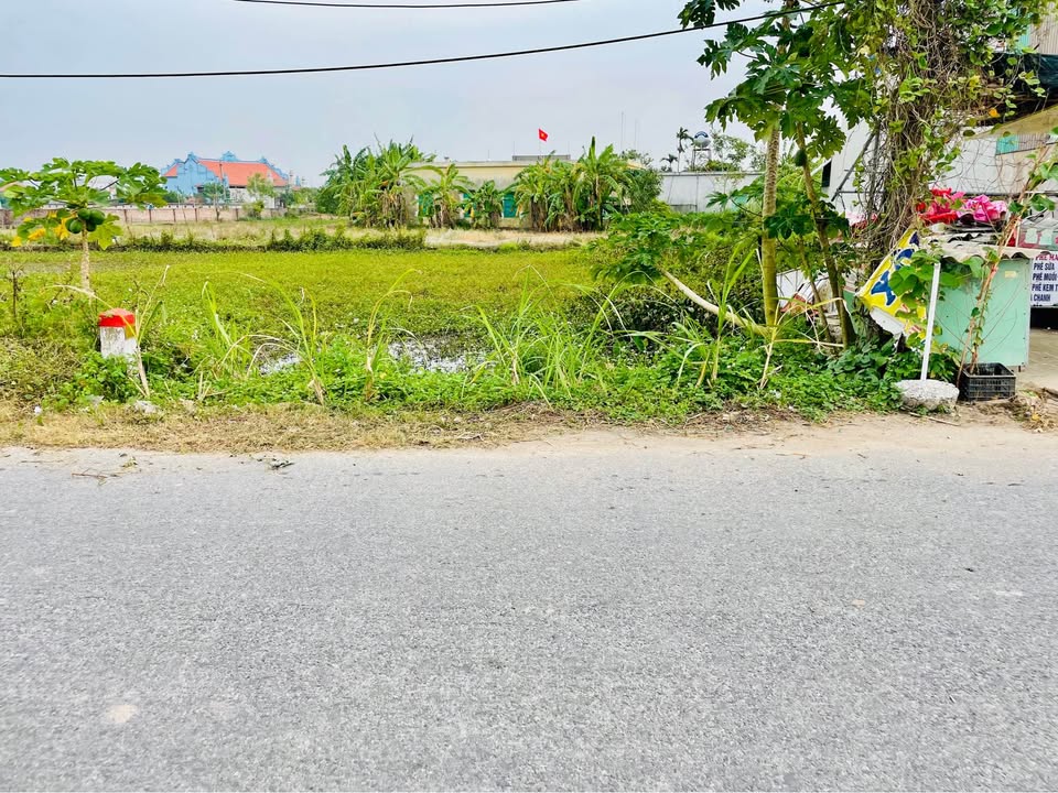 Đất nền Kiến Xương 132m² giá 1.2 tỷ - Đầu tư kinh doanh sinh lời!