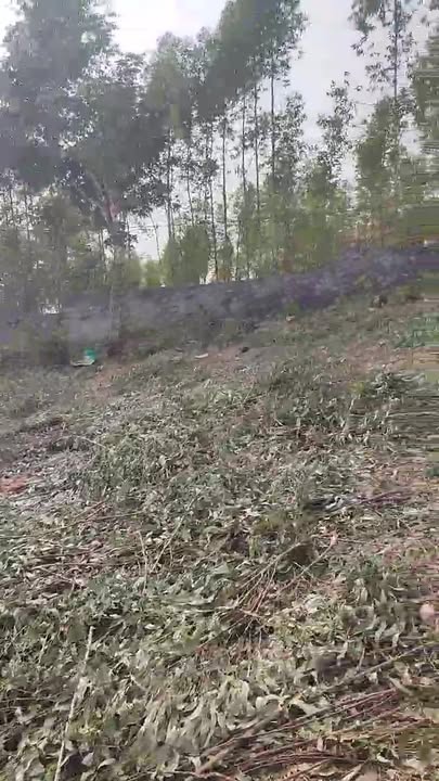 Đất nghỉ dưỡng 3 sào Tam Dị Lục Nam Bắc Giang giá 1.3 tỷ - Cơ hội đầu tư hấp dẫn!