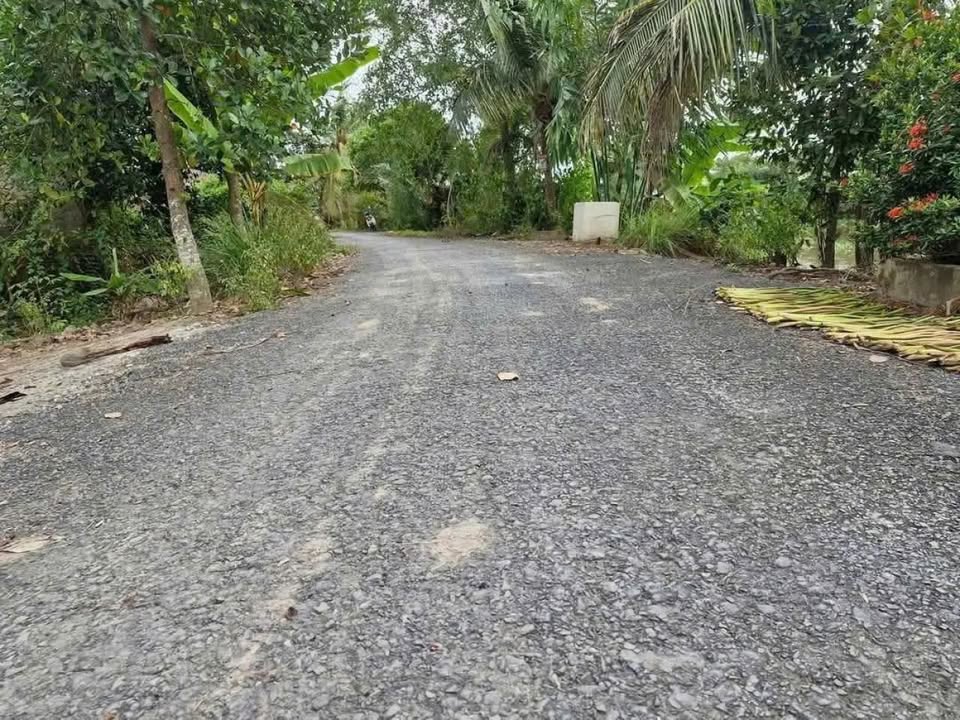 Đất nông nghiệp 6.5ha tại xã Mỹ Long, Cao Lãnh - Giá chỉ 360 triệu!