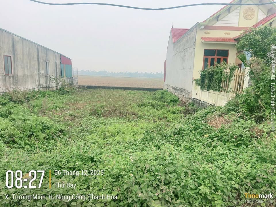 Đất nền Thạch Lãng, Trường Minh 175m² giá 1 tỷ - Kinh doanh thuận lợi!