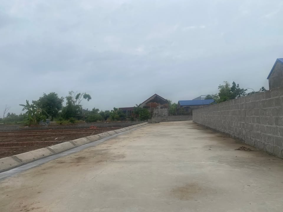 Đất nền An Khánh, Hải Phòng 100m² giá 780 triệu - Tiềm năng phát triển mạnh mẽ!