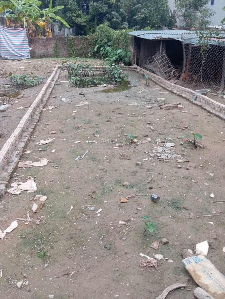 Đất Phúc Lợi Long Biên 55m² giá 7.45 tỷ - Đầu tư sinh lời hấp dẫn!