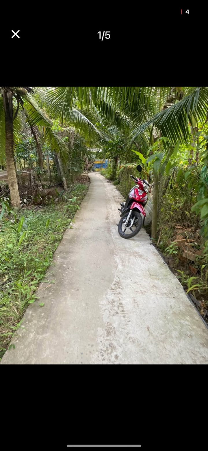 Đất nền Tân Bình Mỏ Cày Bắc 1000m² giá chỉ 750 triệu - Cần bán gấp!