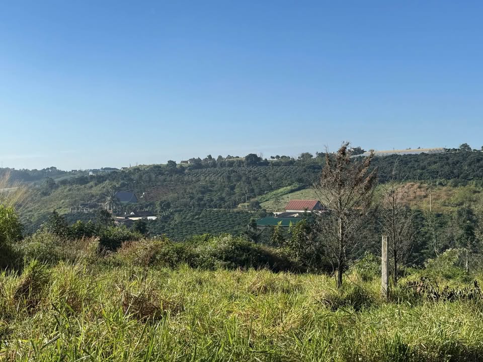 Đất thị trấn Nam Ban 950m² giá 1.35 tỷ - Tiềm năng sinh lời cao!