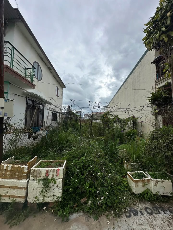 Đất nền đường Trạng Trình, Đà Lạt 67,6m² giá 2,1 tỷ - Cơ hội đầu tư tuyệt vời!