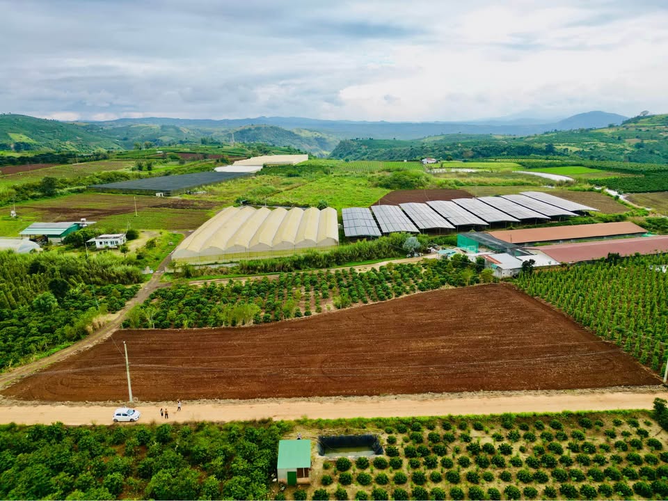 Lô đất Tân Thành, Đức Trọng 157m² giá chỉ 580 triệu - Nhanh tay sở hữu!