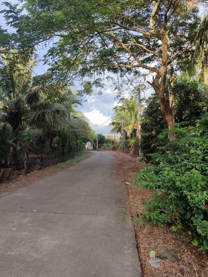 Đất vườn tại Phú Thịnh, Tân Phú 8000m² giá 5.76 tỷ - Cơ hội đầu tư tuyệt vời!