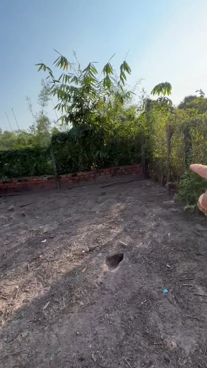 Nhà mặt tiền nhựa Gò Dầu Tây Ninh 452m² giá 1.4 tỷ - Cơ hội đầu tư tuyệt vời!