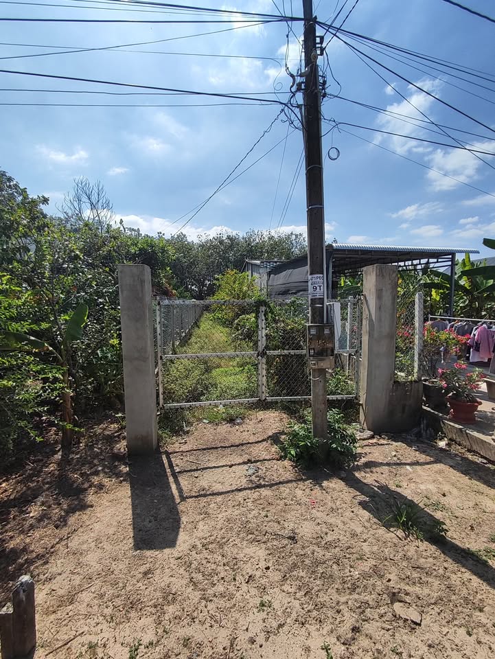 Đất mặt tiền đường nhựa Phước Thạnh Gò Dầu 325m² giá 600 triệu - Cần bán gấp trước Tết!