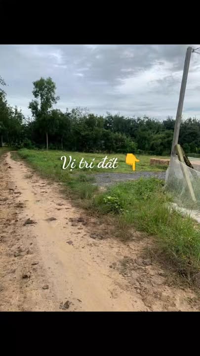 Đất thổ cư Hảo Đước, Châu Thành, Tây Ninh 175m² giá 150 triệu - Sổ đỏ chính chủ!