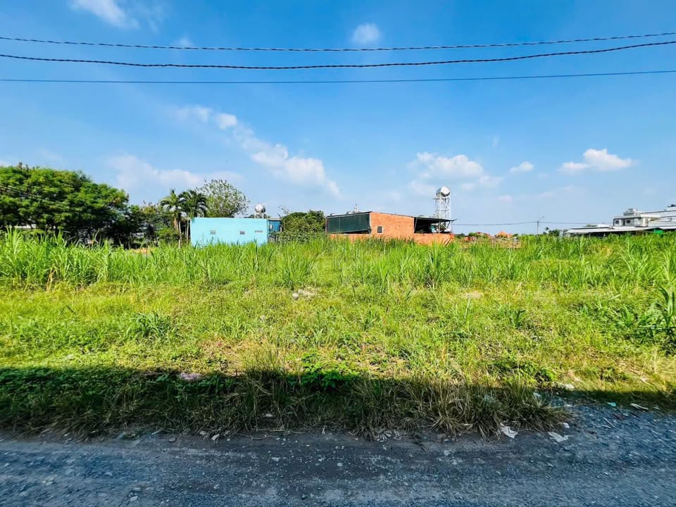 Đất thổ cư Tân Thông Hội Củ Chi 96m² giá 1.85 tỷ - Đầu tư sinh lời ngay!