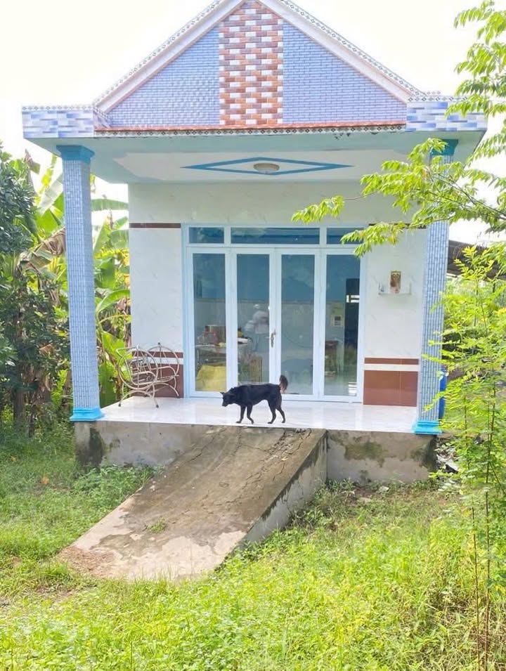 Bán nhà đất tại xã Thuận An, thị xã Bình Minh, 975m² - Cơ hội đầu tư sinh lời!