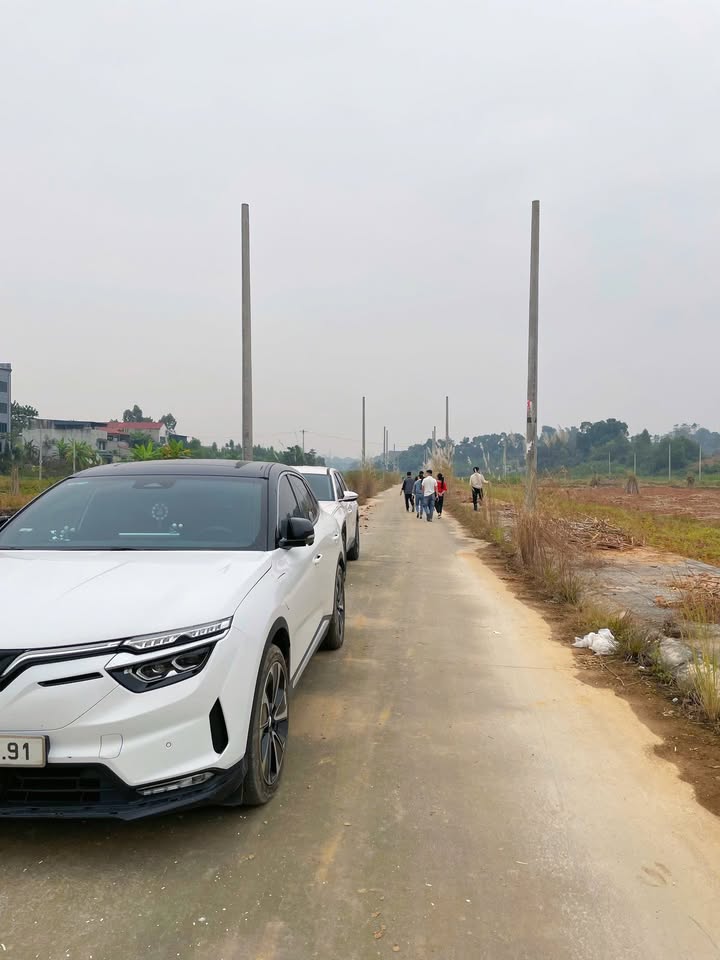 Đất nền Tiên Kiên, Lâm Thao 100m² giá 800 triệu - Pháp lý chuẩn chỉnh, tiềm năng cao!