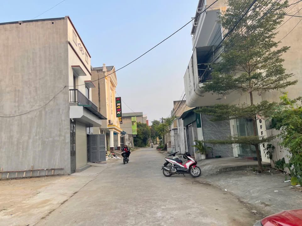Đất nền chính chủ tại Thanh Đình, Việt Trì 100m² giá chỉ 1 tỷ - Cơ hội đầu tư tuyệt vời!