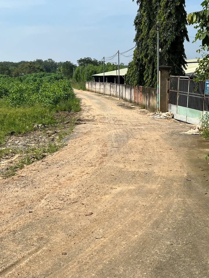 Đất nền An Viễn Trảng Bom 1000m² giá chỉ 1.2 tỷ - Cơ hội đầu tư hấp dẫn!