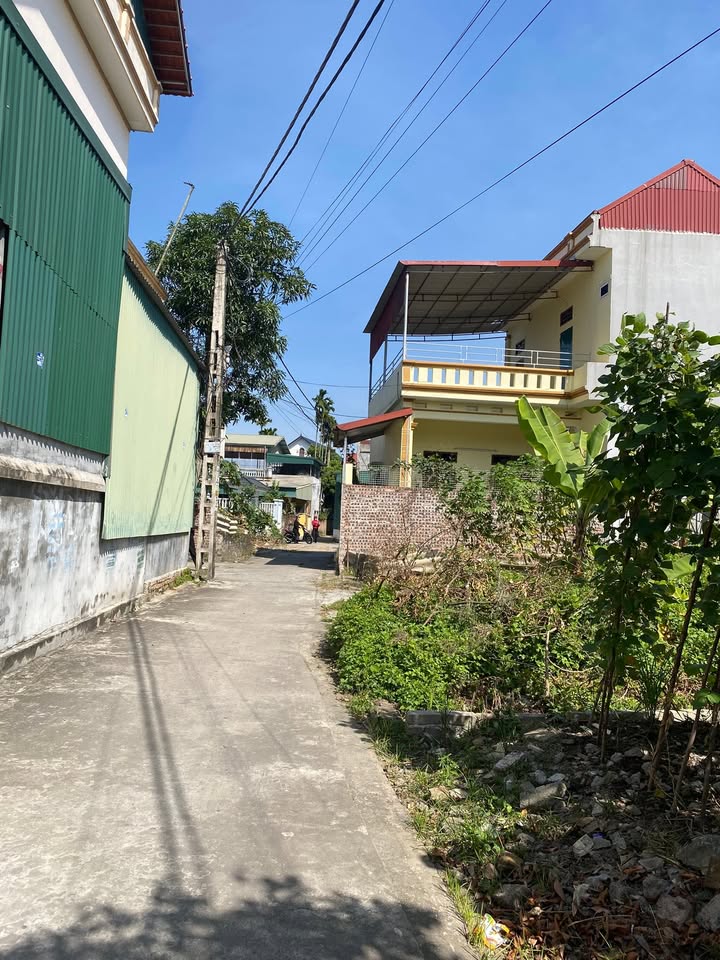 Đất nền Làng nghề Lĩnh Mai, Lâm Thao, Bắc Ninh 123m² chỉ 1 tỷ - Cơ hội đầu tư hiếm có!