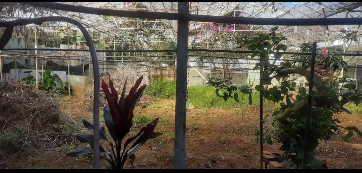 Đất nền Phước Thành, Đà Lạt 500m² giá 3 tỷ - Cơ hội đầu tư hấp dẫn!