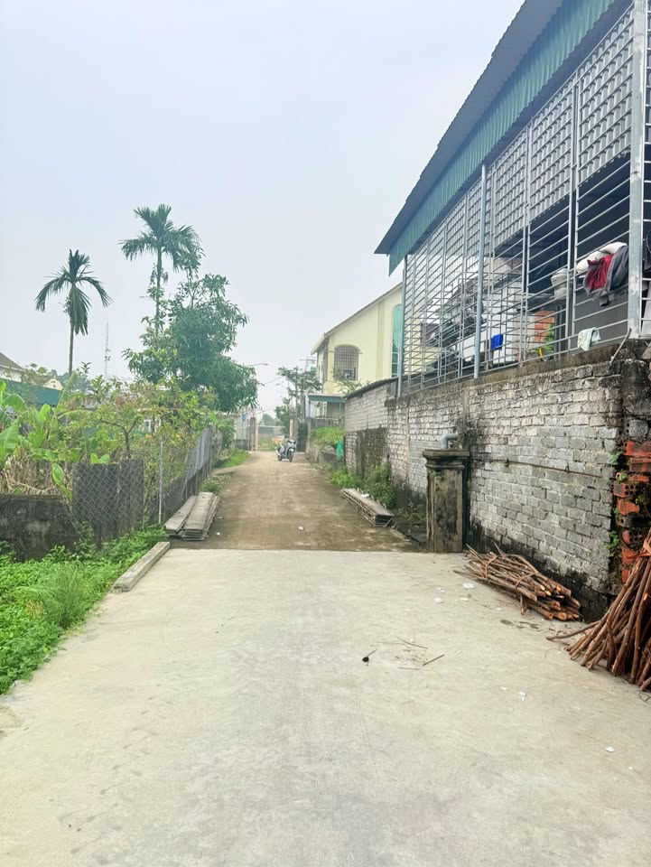 Đất thổ cư Tân Thành, Yên Thành 800m² chỉ 1 tỷ - Đầu tư sinh lời bền vững!